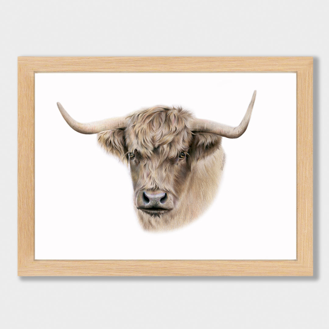 Highland Cow Print