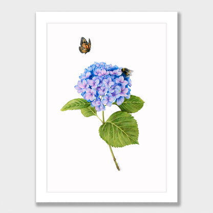 Hydrangea, Bee and Butterfly Print