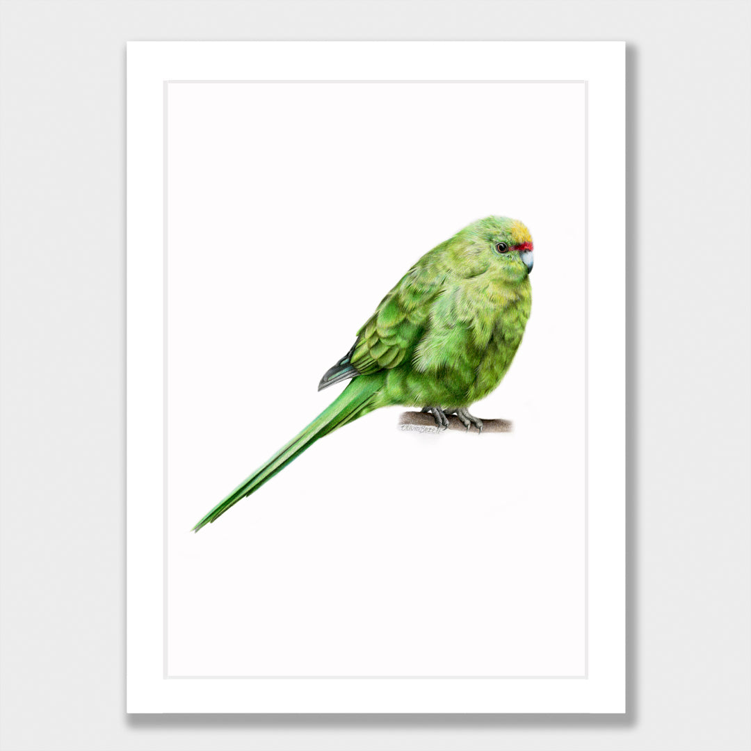 Kākāriki Print