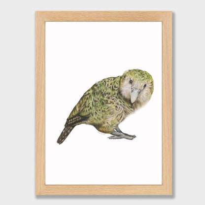 Kākāpō Print