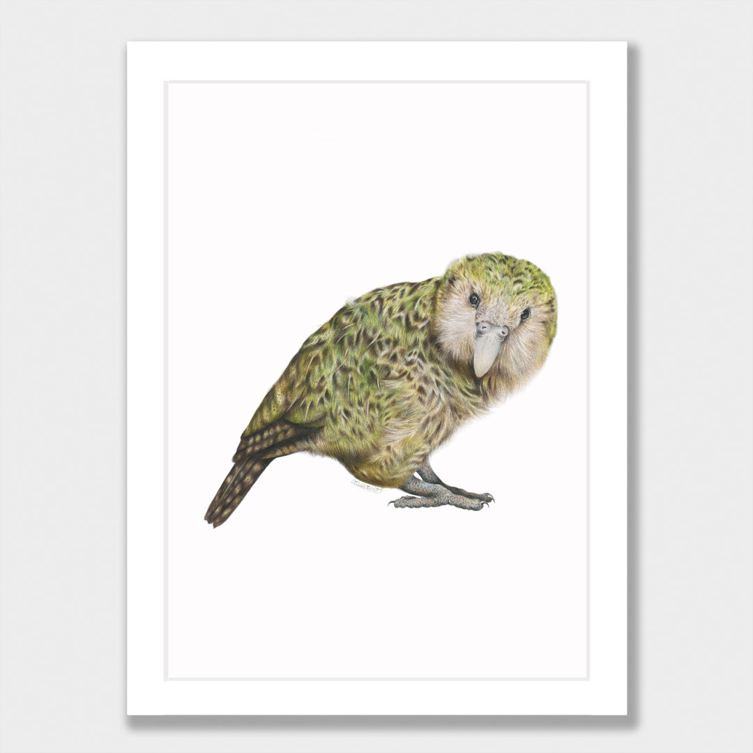 Kākāpō Print