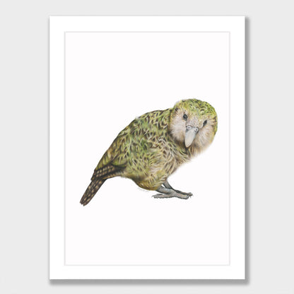 Kākāpō Print