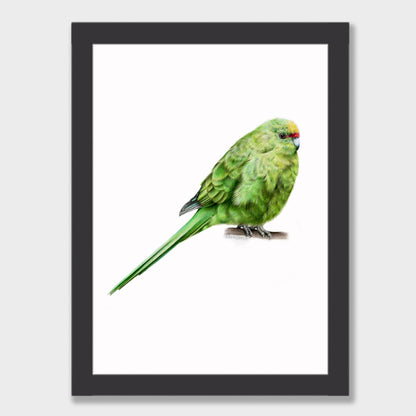 Kākāriki Print