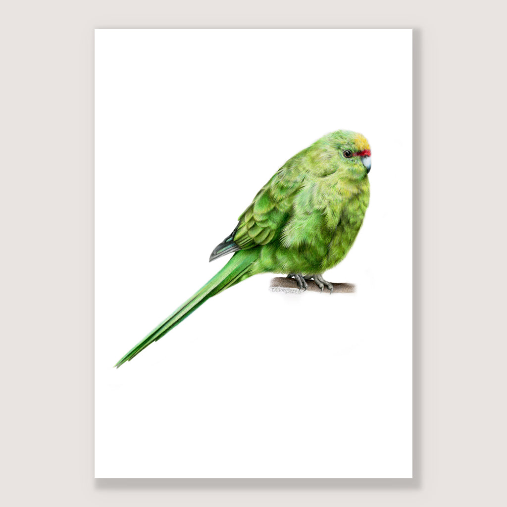 SALE - Kākāriki print A5