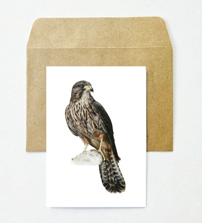 Kārearea Greeting Card