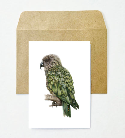Kea Greeting Card