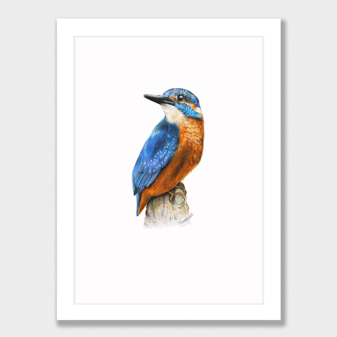 Kingfisher Print