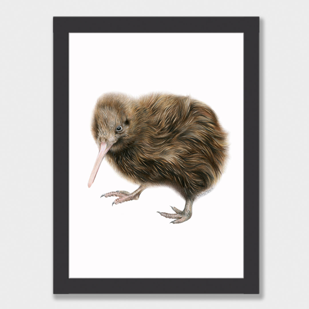 Kiwi Print