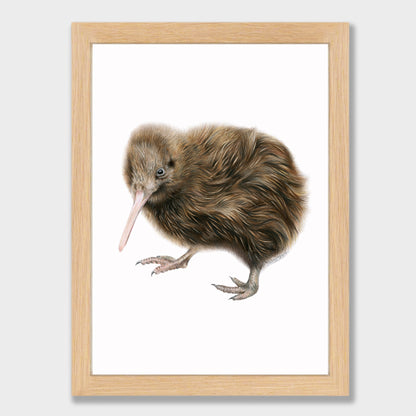 Kiwi Print