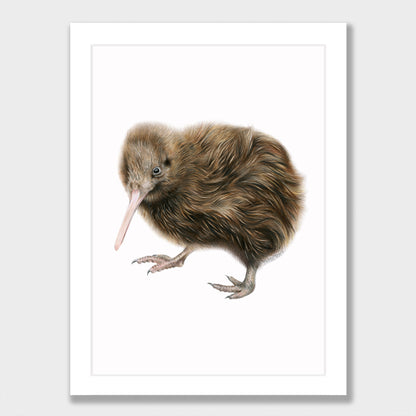 Kiwi Print
