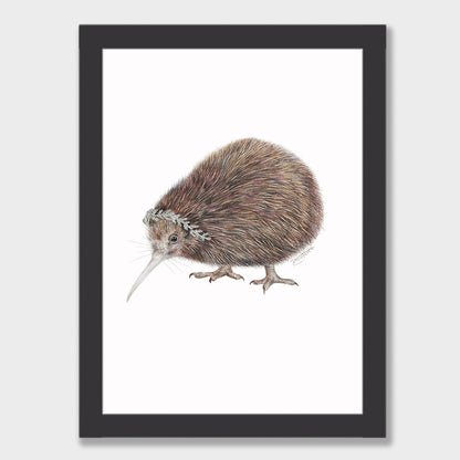 Kiwi Silver Fern Print