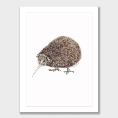 Kiwi Silver Fern Print