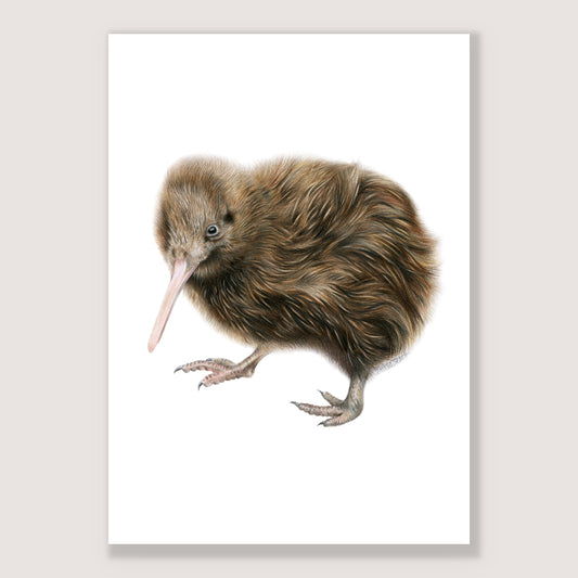 SALE - Kiwi print A4