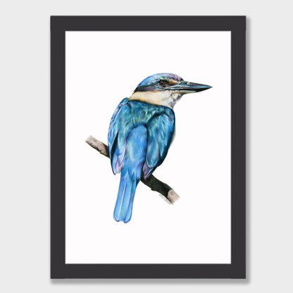 Kōtare Print