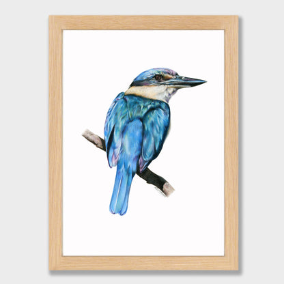 Kōtare Print