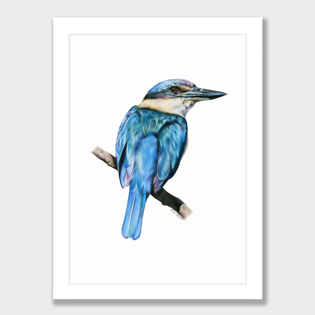 Kōtare Print