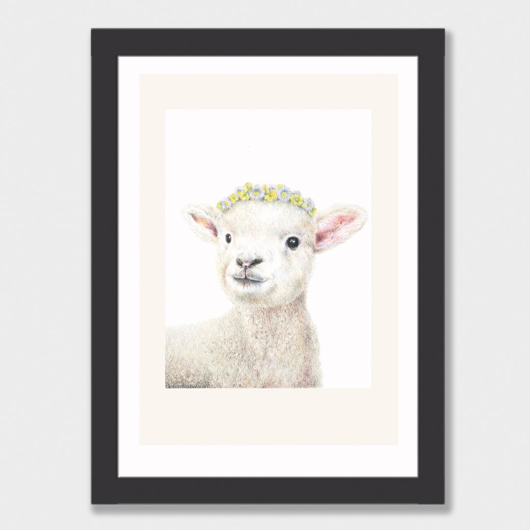 Lamb Print