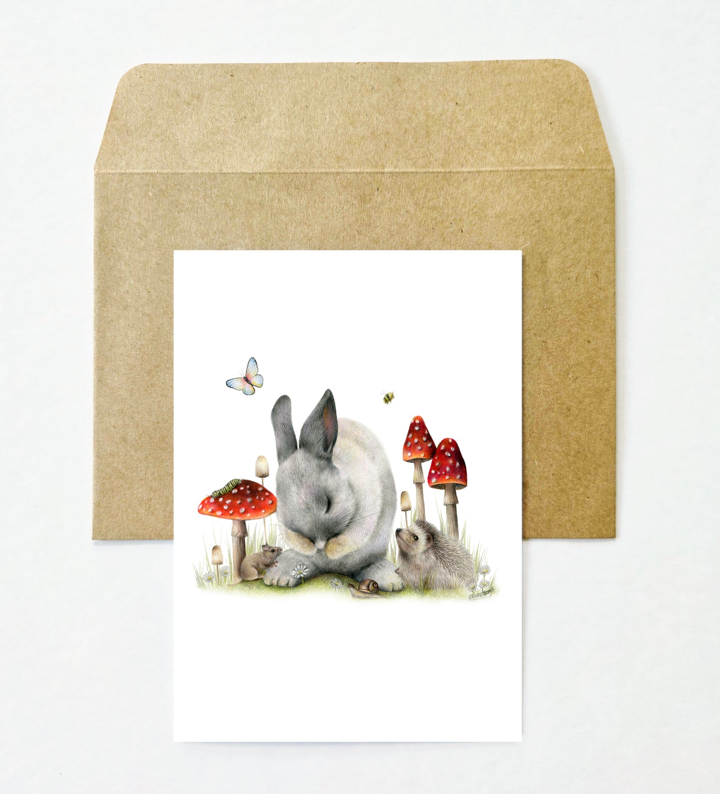Woodland 12 Pack Greeting Card set
