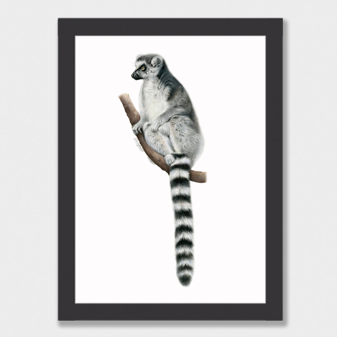 Lemur Print