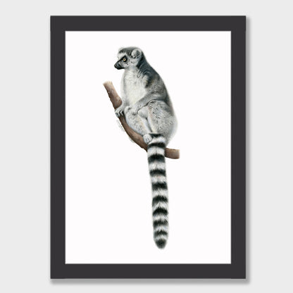 Lemur Print