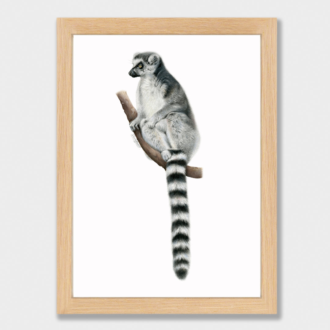 Lemur Print