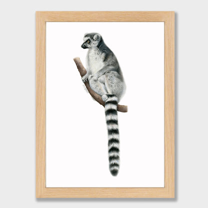 Lemur Print