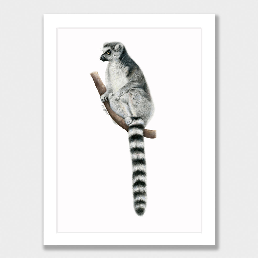 Lemur Print
