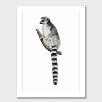 Lemur Print