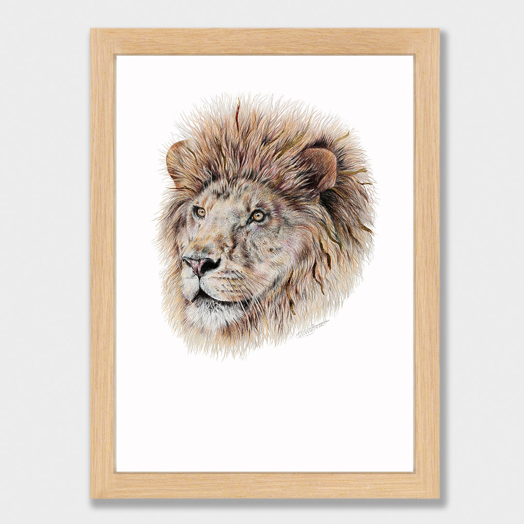 Lion Print