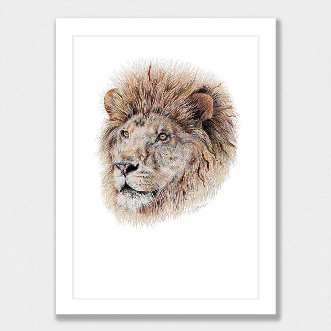 Lion Print