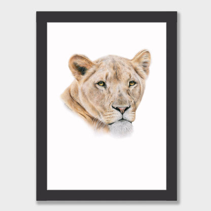 Lioness Print