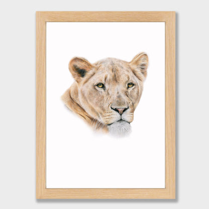 Lioness Print