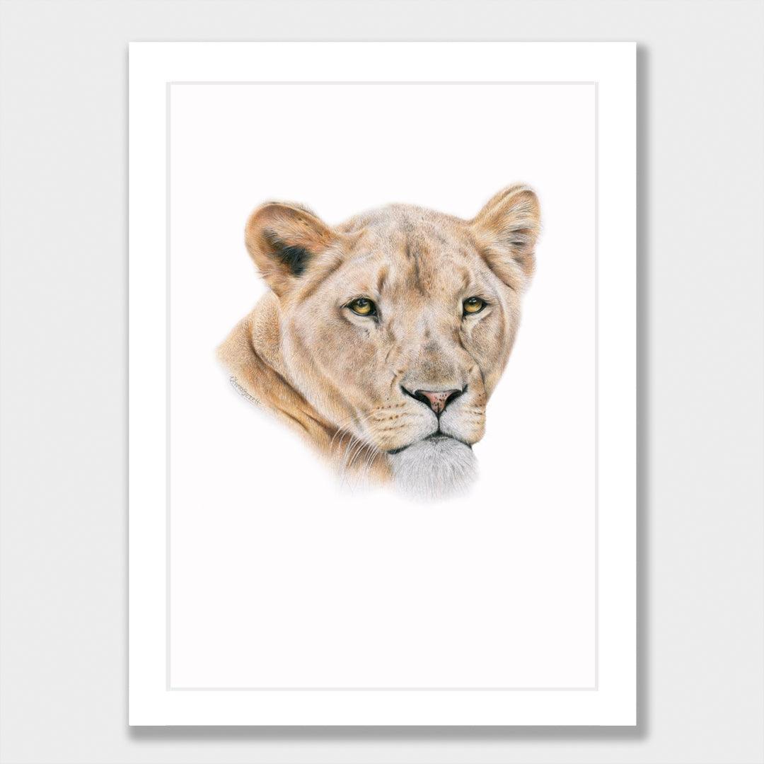 Lioness Print