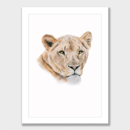 Lioness Print