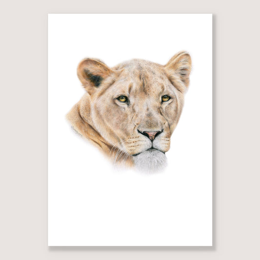 SALE - Lioness print A4