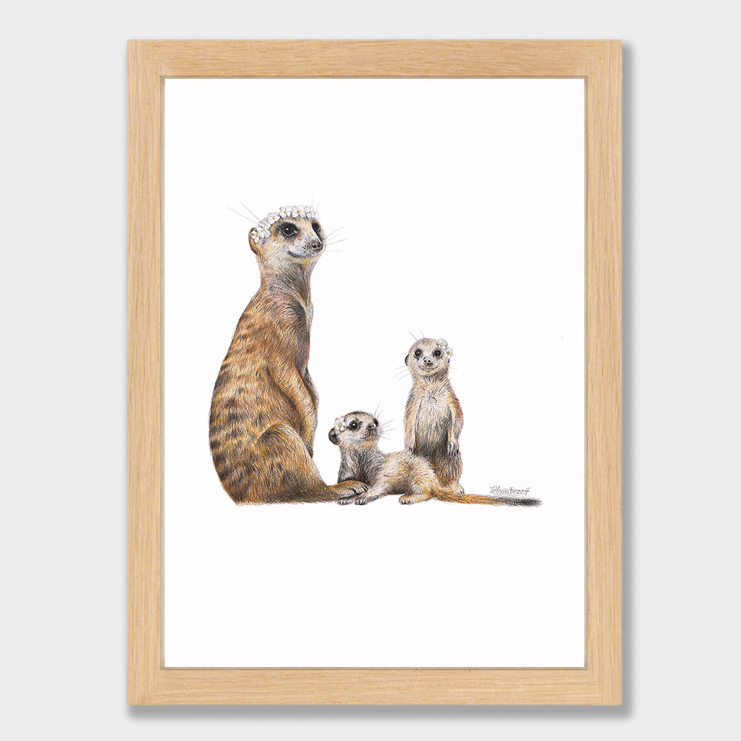 Meerkats Print