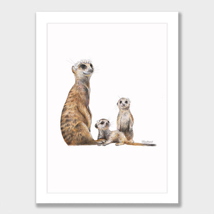 Meerkats Print