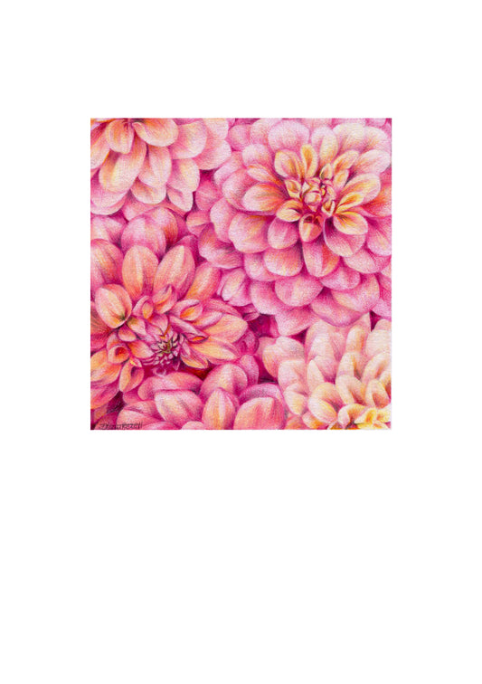 Limited edition 'Mini Dahlias' Print