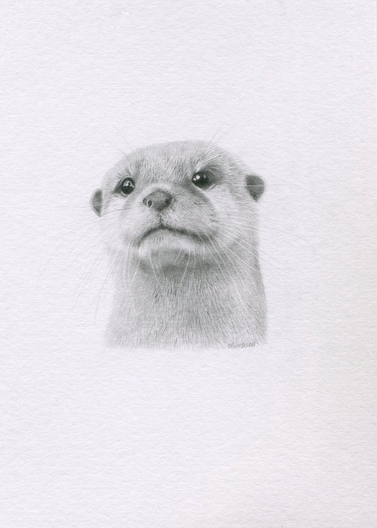 Mini one-off original 'Otter'