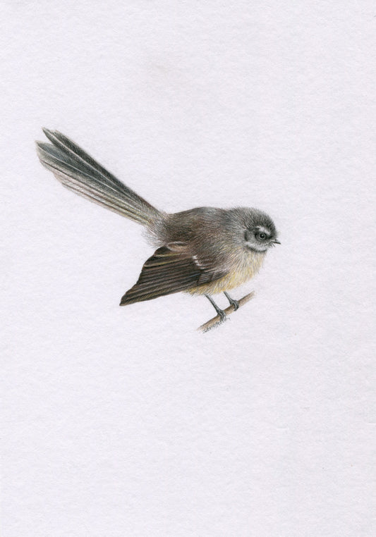 Mini one-off original 'Pīwakawaka'