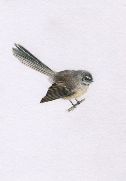 COLOURED PENCIL Mystery Mini - PRE ORDER