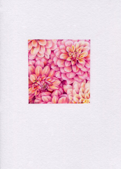Original 'Dahlias'