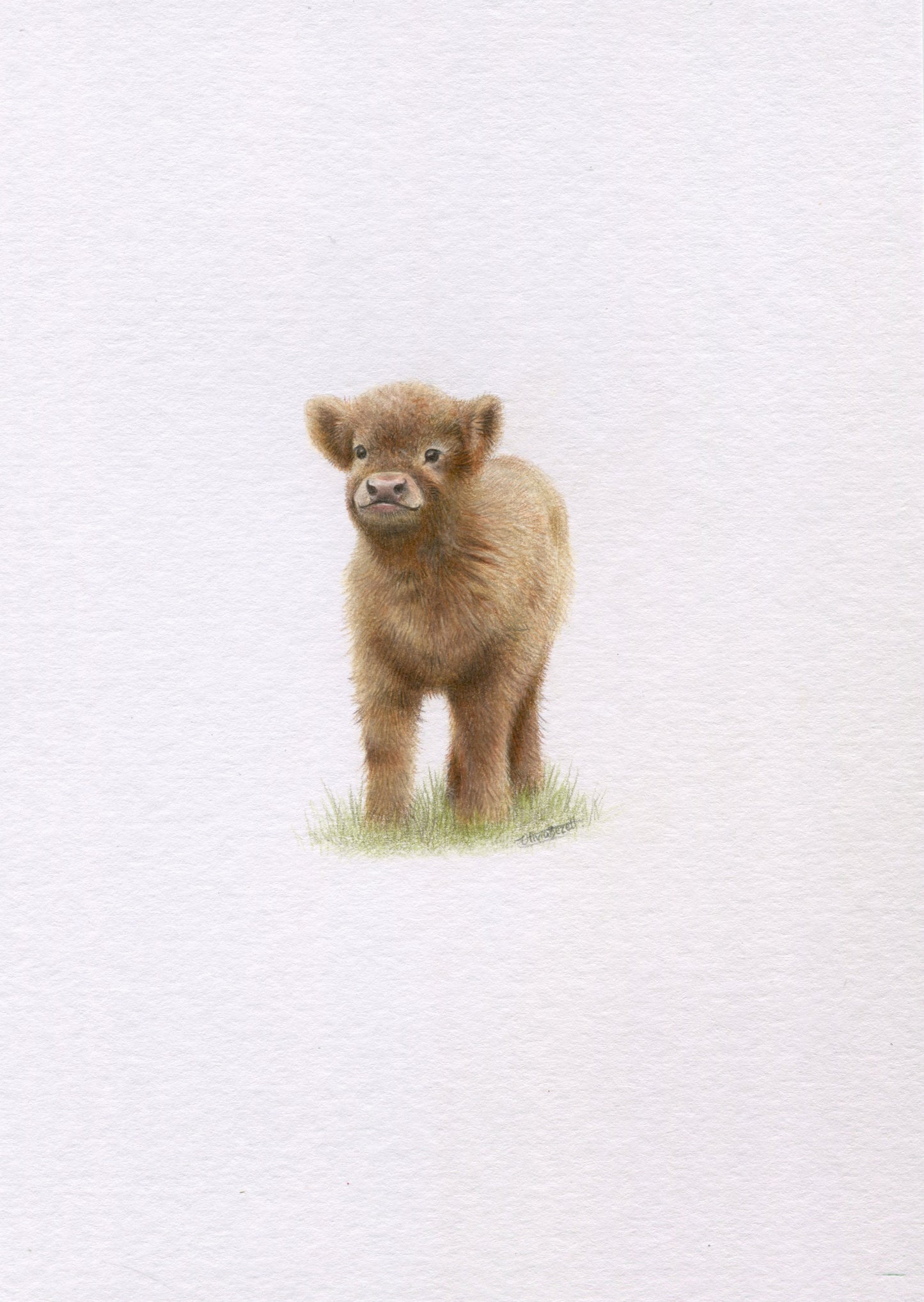 Mini one-off original 'Baby Highland Cow'