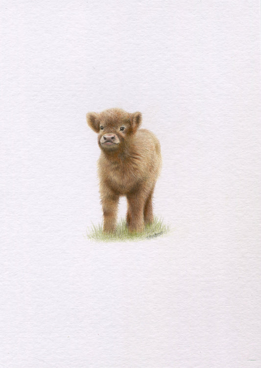 Mini one-off original 'Baby Highland Cow'