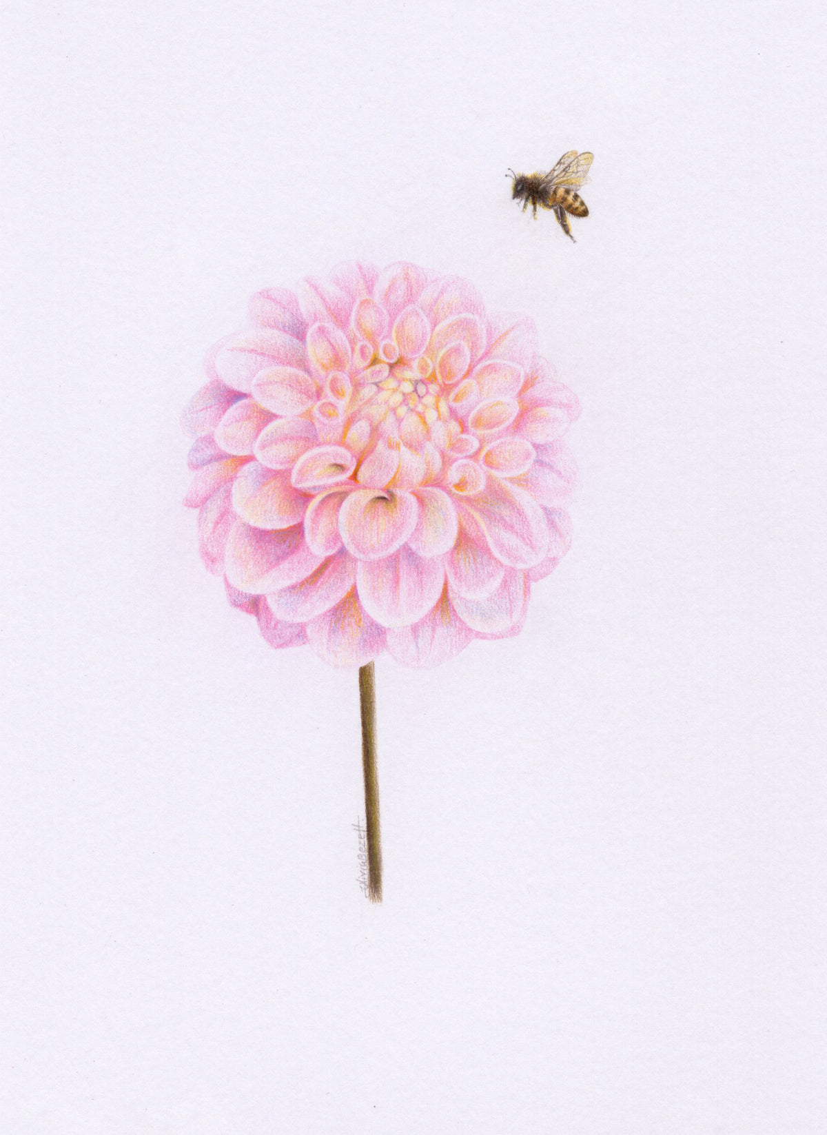Mini one-off original 'Pink Dahlia and Bee'