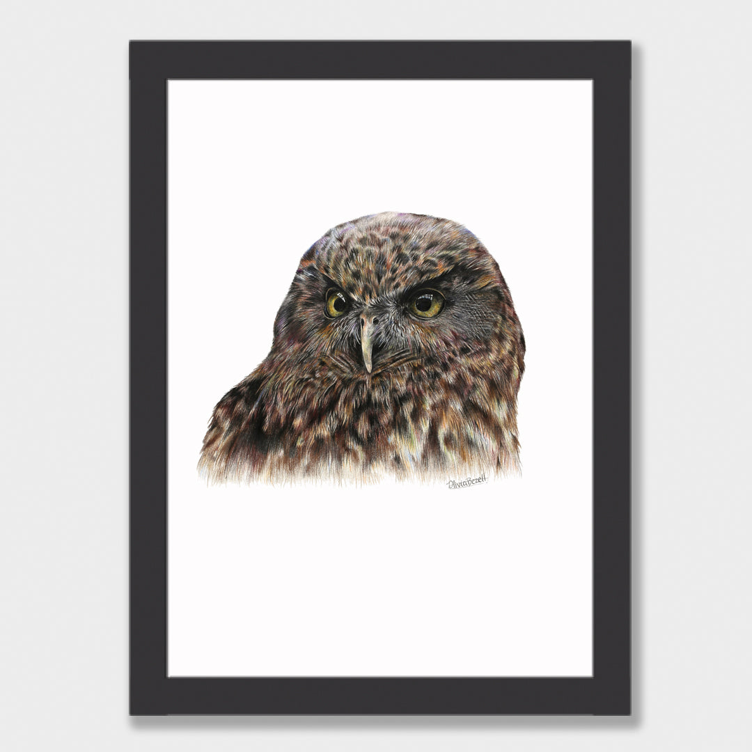 Morepork Print