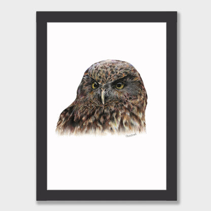 Morepork Print