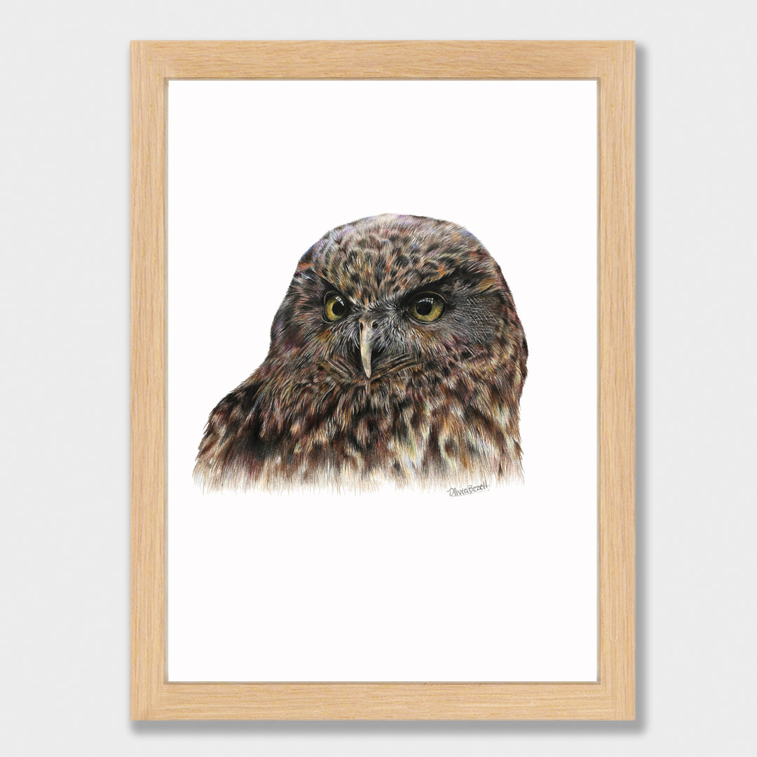 Morepork Print