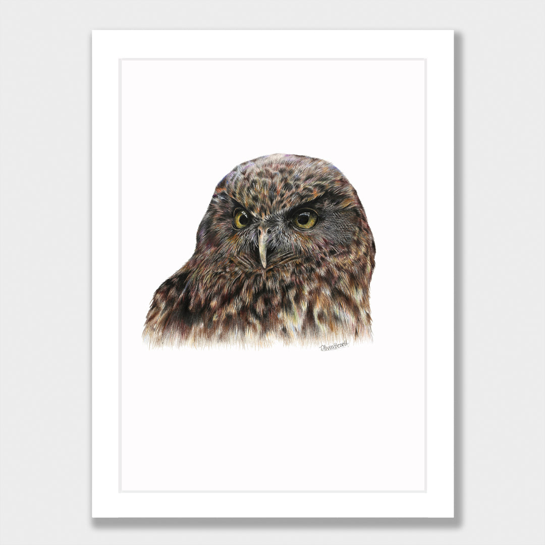Morepork Print