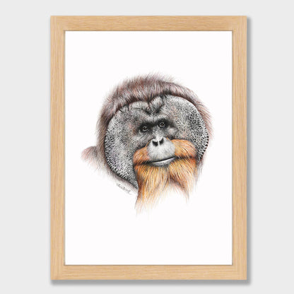 Orangutan Print